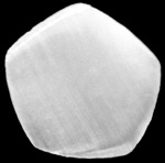 raj_pentagonal_querschnitt2 RAJ Poly Revo
